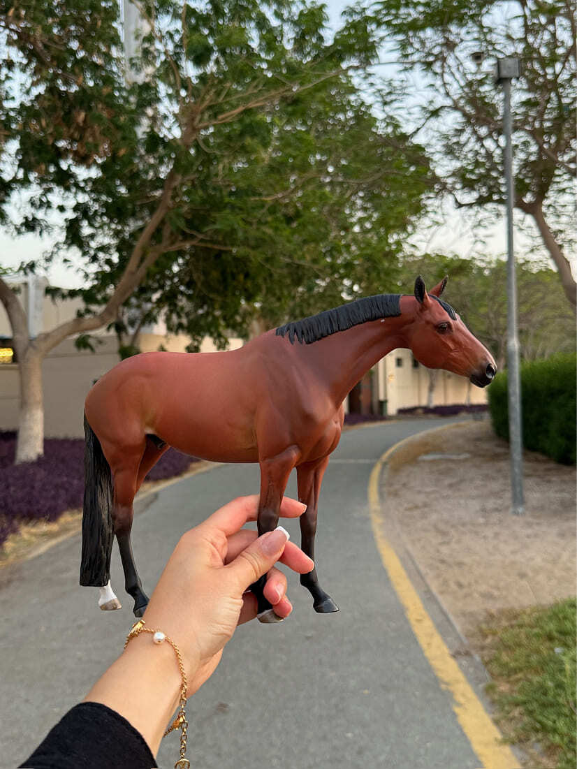 Miniatura de Cavalo