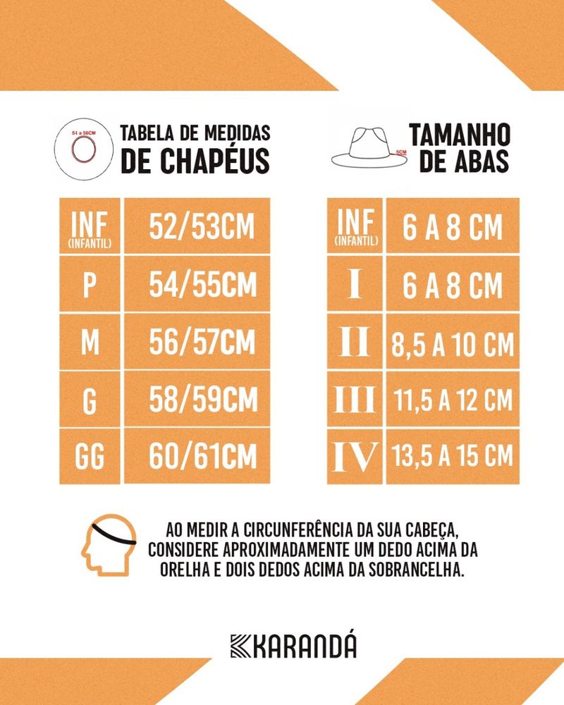 CHAPÉU C VIOLEIRO CA AN ABA M